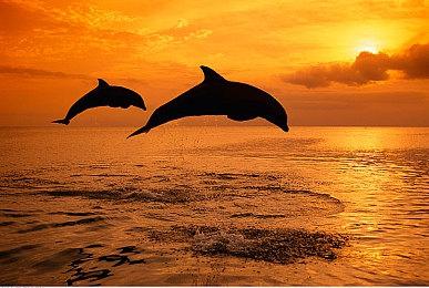 《旗帜的传说》开发商公布新作《钟楼》今年进行测试